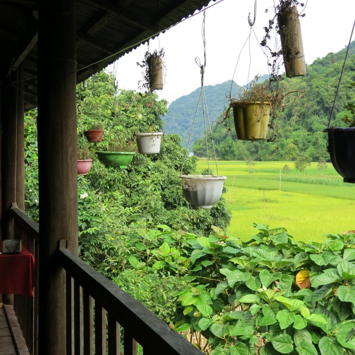 Homestay service for tourists to Ba Be Lake - ảnh 3
